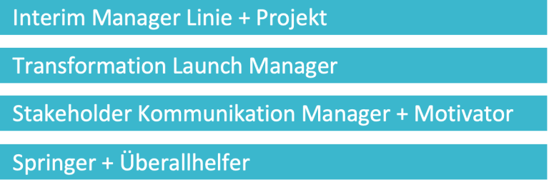 Interim Management, Projekt, Projekt Management, Line Management, Stakeholder Management, Kommunikation, Stakeholder, Launch, Transformation, Steuerung, Springer, Aushelfer, Aushilfe, Überallhelfer, Vernetzung, Universalist, Scanner, agil, klassisch, hybrid, Optimist, Sinngeber, Purpose, Volker Dökel