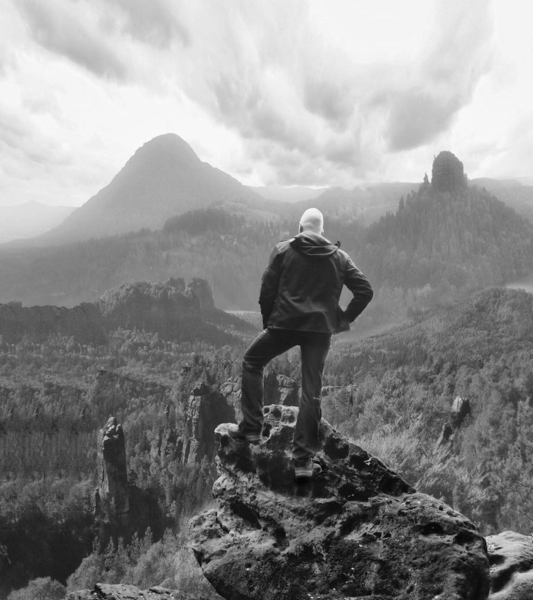 Der Wanderer über dem Nebelmeer, Caspar David Friedrich, Erfahrungen, Lichts ins Dunkel, Analyse, Best Practices, Scanner, Sächsische Schweiz