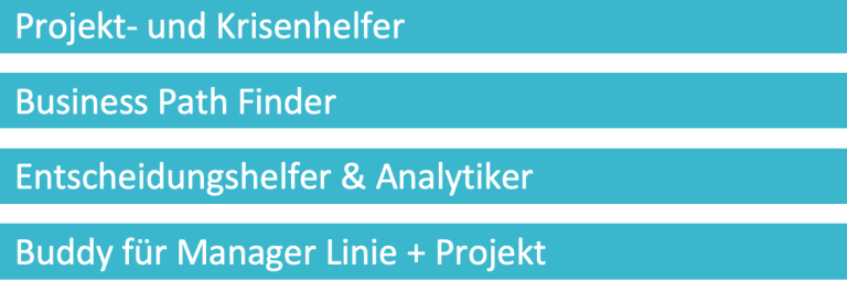  Soforthilfe, Projekthelfer, Project Rescue, Krisenhelfer, Krisenkommunikation, Krisenmanagement, Konfliktmanagement, Deeskalation, Entscheidungsvorbereitung, Analyse, Controlling, Sparring Partner, Buddy, Coach, Lösung, Solution